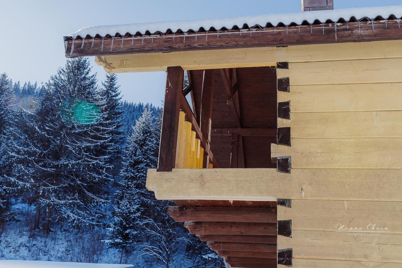 7+Я Villa Verhovîna Exterior foto